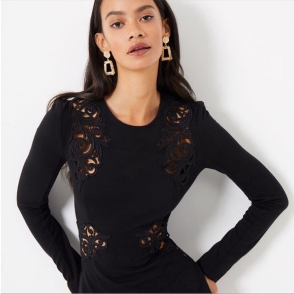 French Connection Marie Stretch Embroidered Lace Cut-Out Long Sleeve Dress - Picture 5 of 9